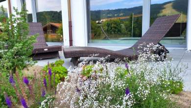 Détente les Paccots